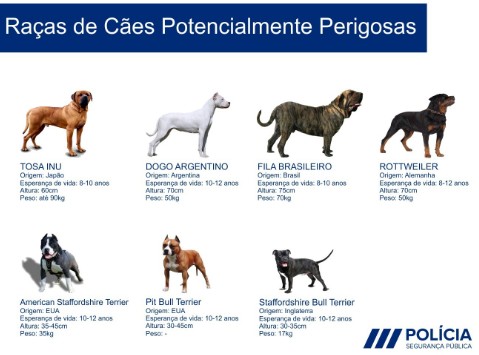 Formação para detentores de cães perigosos ou potencialmente perigosos. Formação para detentores de cães perigosos ou potencialmente perigosos.